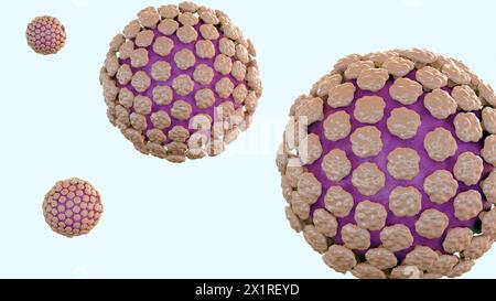 3d Rendering von Norovirus ist ein hoch ansteckendes Virus, das Erbrechen und Durchfall verursacht, und nennt die „Magengrippe“ oder „Magenwanze“ Stockfoto