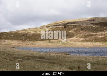 Llyn yr Oerfelsee Stockfoto