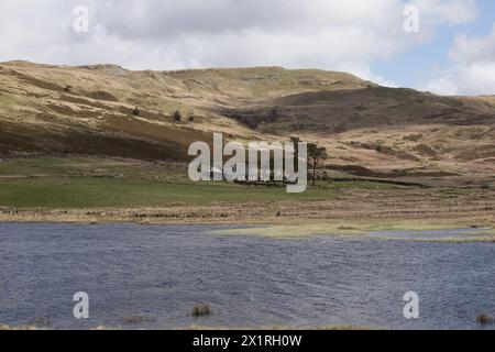 Llyn yr Oerfelsee Stockfoto