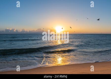 Sonnenaufgang am Miami Beach, Florida. Stockfoto