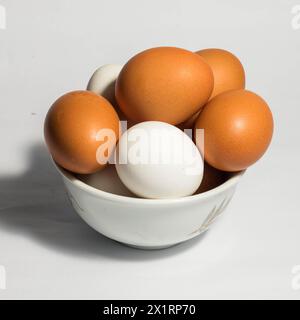 Hühnereier isoliert blasen, Nahaufnahme Ei auf weißem Hintergrund. Stockfoto