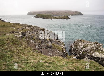 Spektakuläre Landschaft an der Südspitze der Isle of Ma, n mit Robben und sich brütenden Seevögeln, getrennt von der Hauptinsel durch den Calf Sound. Stockfoto