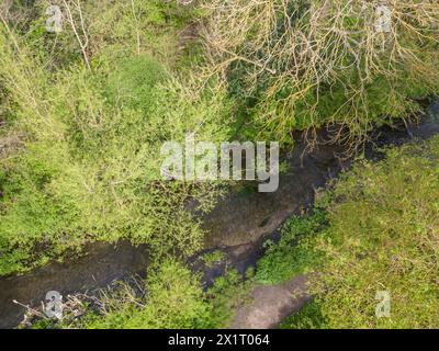 Foots Cray Wiadows am Ufer des Flusses Cray ist ein Naturschutzgebiet mit Wäldern, Spaziergängen und Wiesen in sidcup london Stockfoto