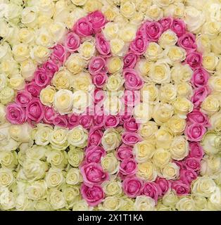 Nummer 40 aus weißen und rosafarbenen Rosen für einen Geburtstag oder ein Date Stockfoto