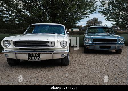 Zwei alte Ford Mustangs sind auf dem Banbury Car & Bike Meet im April 2024 im Banbury Cricket Club in Bodicote zu sehen. Stockfoto