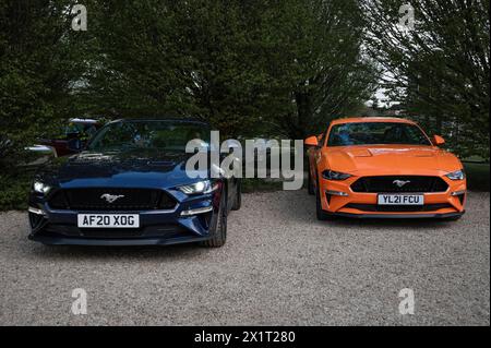 Vorderansicht eines Paares moderner Ford Mustangs auf dem Banbury Car & Bike Meet im April 2024 im Banbury Cricket Club in Bodicote. Stockfoto