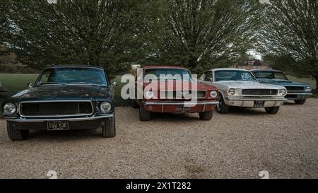 Vier Ford Mustangs wurden im April 2024 beim Banbury Car & Bike Meet im Banbury Cricket Club in Bodicote ausgestellt. Stockfoto