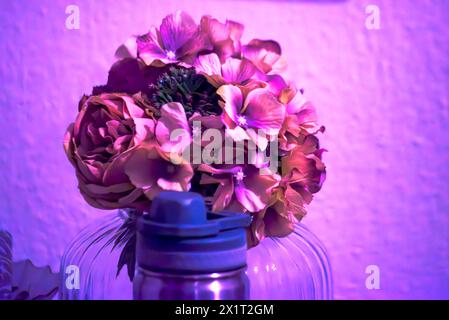 Tauchen Sie ein in die bezaubernde Schönheit der violetten Blüten und schaffen Sie eine lebendige und beruhigende Atmosphäre mit floraler Eleganz. Stockfoto