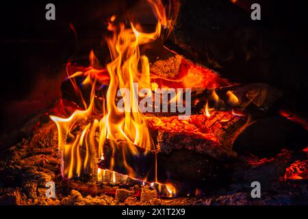 Fangen Sie die Essenz des Inferno mit einer Nahaufnahme des feurigen Holzfeuers mit brennenden Flammen und sengender Hitze ein. Stockfoto