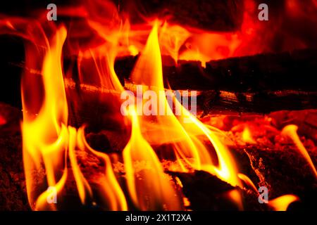 Fangen Sie die Essenz des Inferno mit einer Nahaufnahme des feurigen Holzfeuers mit brennenden Flammen und sengender Hitze ein. Stockfoto