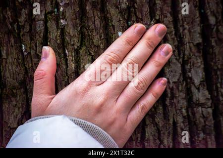 Ein ruhiges Bild, das die sanfte Berührung einer Frauenhand gegen die strukturierte Rinde eines Baumstamms einfängt und die Harmonie mit der Natur symbolisiert. Stockfoto