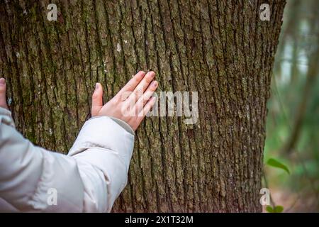 Ein ruhiges Bild, das die sanfte Berührung einer Frauenhand gegen die strukturierte Rinde eines Baumstamms einfängt und die Harmonie mit der Natur symbolisiert. Stockfoto