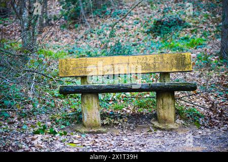 Eine ruhige Bank inmitten des Waldes, ein ruhiger Ort für Nachsicht und Entspannung in der umliegenden Natur. Stockfoto