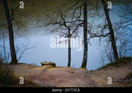 Bäume säumen den ruhigen See im Herzen des Waldes und schaffen eine malerische und ruhige Landschaft. Stockfoto