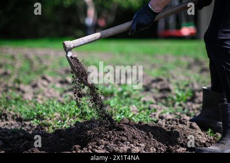 Eine alte Frau in Stiefeln gräbt den Garten mit einer Hacke. Vorbereitung für den Gemüseanbau. Die Erde liegt in der Luft. Stockfoto