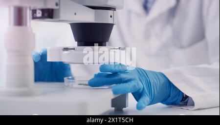 Nahaufnahme, Wissenschaftler und Person mit Mikroskop im Labor, Forschung und Durchbruch mit Krebs und medizinische Analyse. Forscher, Mitarbeiter und Handschuhe mit Stockfoto