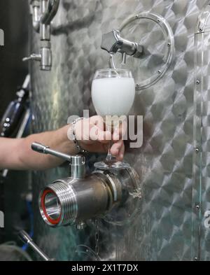 Details mit der Hand eines Winzers, der in einem modernen Weingut Sekt aus einem Metalltank in ein Glas gießt. Stockfoto