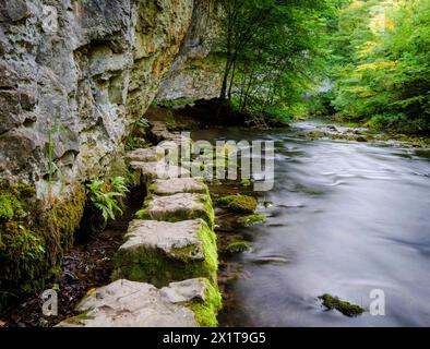 Trittsteine im Fluss Wye in Chee Dale. Stockfoto