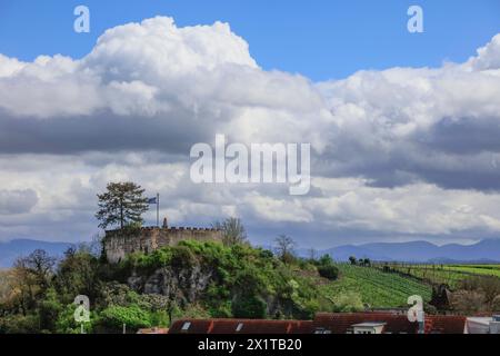 Blick vom Breisacher Münsterberg auf den Eckartsberg, hinten Schwarzwald, Breisach am Rhein, Baden-Württemberg, Deutschland *** Blick von Breisach Münsterberg nach Eckartsberg, Schwarzwald im Hintergrund, Breisach am Rhein, Baden-Württemberg, Deutschland Stockfoto