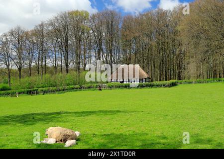 Abernodwydd Farmhouse, St Fagans National Museum of History/Amgueddfa Werin Cymru, Cardiff, South Wales, Großbritannien. Stockfoto