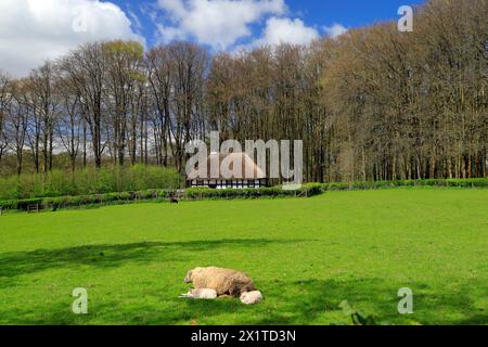 Abernodwydd Farmhouse, St Fagans National Museum of History/Amgueddfa Werin Cymru, Cardiff, South Wales, Großbritannien. Stockfoto