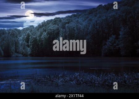 see inmitten des Waldes bei Nacht. Bäume spiegeln sich im Wasser. Naturlandschaft um Mitternacht im Vollmondlicht Stockfoto