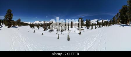 Pacific Crest Trail. Ein schneebedecktes Feld mit Bäumen und blauem Himmel Stockfoto