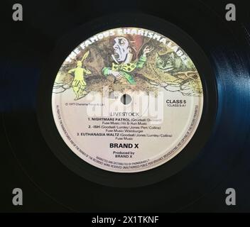 Foto Nahaufnahme eines Zentrums-Labels auf einer Original-Pressung von 1977 einer langlebigen LP-Vinyl-Disc Livestock von Brand X mit Phil Collins Stockfoto