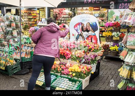 Touristen lassen sich auf dem farbenfrohen, schwimmenden Blumenmarkt Bloemenmarkt am Singel im Zentrum von Amsterdam, Niederlande, fotografieren Stockfoto