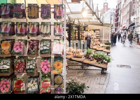 Blick auf den farbenfrohen, schwimmenden Blumenmarkt, Bloemenmarkt, auf der Singel im Zentrum von Amsterdam, Niederlande Stockfoto