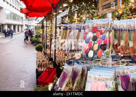 Päckchen Tulpensamen auf dem farbenfrohen, schwimmenden Blumenmarkt Bloemenmarkt auf dem Singel im Zentrum von Amsterdam, Niederlande Stockfoto