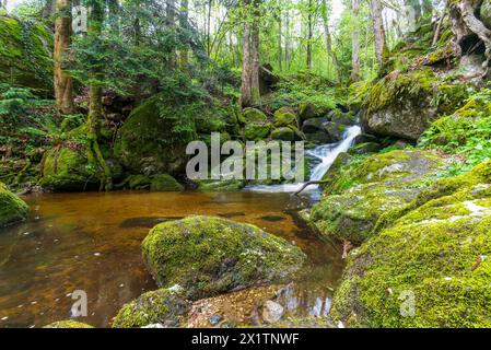 flussysper im Tal ypsertal im niederösterreichischen waldviertel *** fluss ysper im ypsertal in der niederösterreichischen Region waldviertel Copyright: XW.Simlingerx Stockfoto