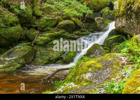 flussysper im Tal ypsertal im niederösterreichischen waldviertel *** fluss ysper im ypsertal in der niederösterreichischen Region waldviertel Copyright: XW.Simlingerx Stockfoto