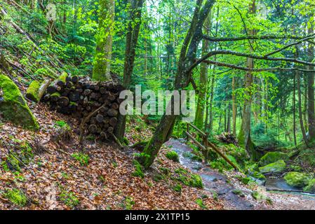 flussysper im Tal ypsertal im niederösterreichischen waldviertel *** fluss ysper im ypsertal in der niederösterreichischen Region waldviertel Copyright: XW.Simlingerx Stockfoto