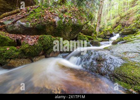 flussysper im Tal ypsertal im niederösterreichischen waldviertel *** fluss ysper im ypsertal in der niederösterreichischen Region waldviertel Copyright: XW.Simlingerx Stockfoto