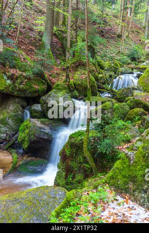 flussysper im Tal ypsertal im niederösterreichischen waldviertel *** fluss ysper im ypsertal in der niederösterreichischen Region waldviertel Copyright: XW.Simlingerx Stockfoto