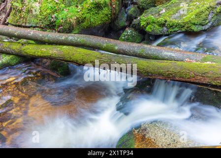 flussysper im Tal ypsertal im niederösterreichischen waldviertel *** fluss ysper im ypsertal in der niederösterreichischen Region waldviertel Copyright: XW.Simlingerx Stockfoto