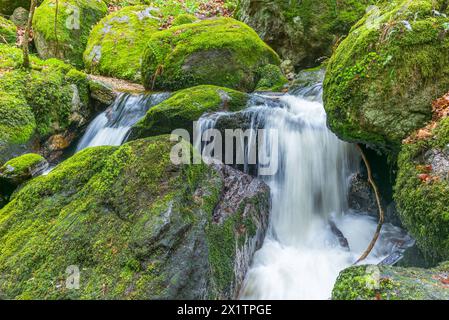 flussysper im Tal ypsertal im niederösterreichischen waldviertel *** fluss ysper im ypsertal in der niederösterreichischen Region waldviertel Copyright: XW.Simlingerx Stockfoto