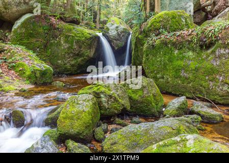 flussysper im Tal ypsertal im niederösterreichischen waldviertel *** fluss ysper im ypsertal in der niederösterreichischen Region waldviertel Copyright: XW.Simlingerx Stockfoto