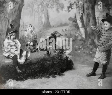 Mädchen, das Horn spielt, Eulen rauchende Pfeife, Junge in Uniform dirigiert, Hund spielt Mundharmonika - 1900 Stockfoto