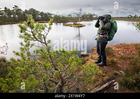 Wanderer, der mit einem Fernglas an einem kleinen Moorauge steht, Marimetsa-Regenmoor, Laanemaa, Estland Stockfoto