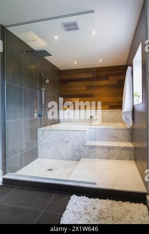 Eine Duschkabine im Nassraum-Stil aus Glas mit grauen und weißen Marmortreppen und einer Holzwand aus rotem Zedernholz im Hauptbadezimmer im oberen Stockwerk im modernen Würfel Stockfoto