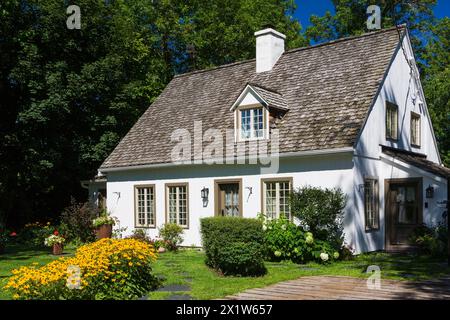 Alte ca. 1886 weiß mit beige und braune Zierleiste Kanadiana Cottage Stil Hausfassade mit landschaftlich gestaltetem Vorhof, der gelbe Rudbeckia fulgida enthält Stockfoto