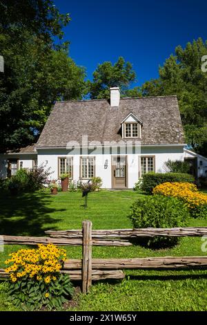 Alte ca. 1886 weiß mit beige und braune Zierleiste Kanadiana Cottage Stil Hausfassade mit landschaftlich gestaltetem Vorhof, der gelbe Rudbeckia fulgida enthält Stockfoto