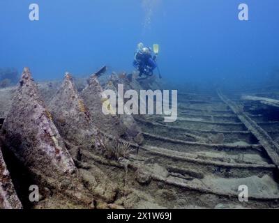 Taucher schwimmt über dem Wrack der Benwood. Tauchplatz John Pennekamp Coral Reef State Park, Key Largo, Florida Keys, Florida, USA Stockfoto