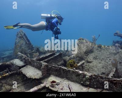 Taucher schwimmt über dem Wrack der Benwood. Tauchplatz John Pennekamp Coral Reef State Park, Key Largo, Florida Keys, Florida, USA Stockfoto