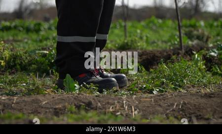 Bauer, der in seinem Gemüsegarten arbeitet. Nahaufnahme der Beine eines Bauern, der in seinem Gemüsegarten steht Stockfoto