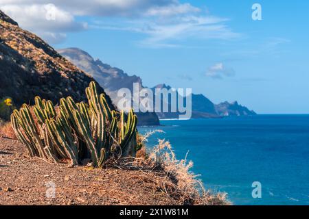 Die Klippen vom Aussichtspunkt Barranco de Guayedra. Gran Canaria. Spanien Stockfoto