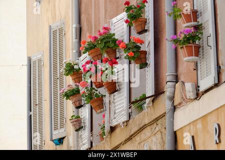 Marseille, Blumentöpfe mit roten Geranien vor weißen Fensterläden an einer Hauswand, Marseille, Departement Bouches-du-Rhone, Region Stockfoto