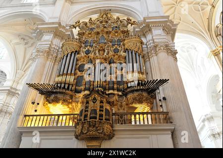 Orgel, Kathedrale Santa Maria de la Encarnacion, Kathedrale von Granada, Barockorgel in einer Kirche mit goldener Dekoration gegen weiß Stockfoto